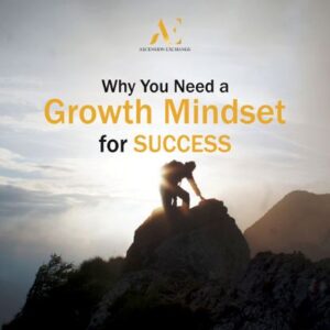 Read more about the article Why You Need a Growth Mindset for Business Success